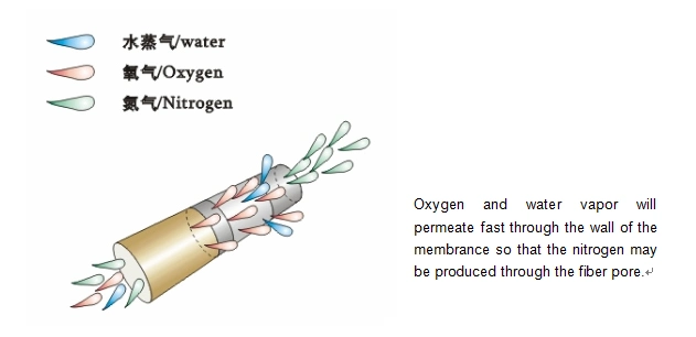 Reliable Membrane Nitrogen Generator 300nm3/H, 95%