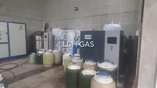 Petit générateur d'azote liquide de l'Institut de biologie industrielle 20L de Ldh